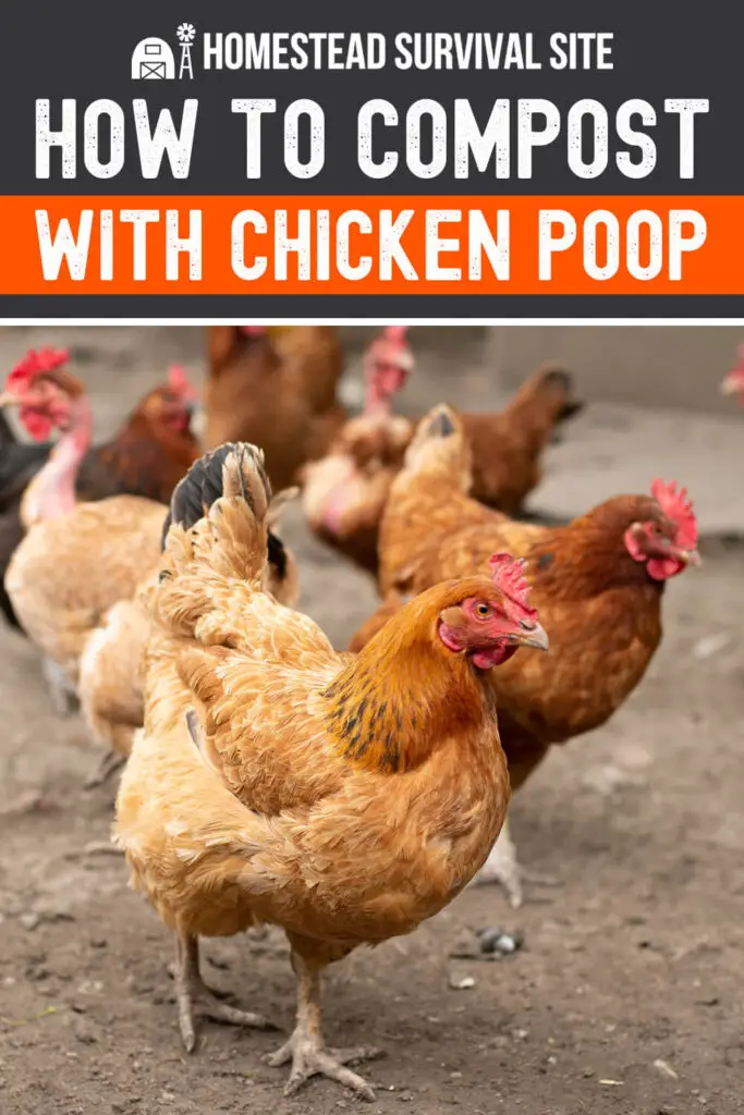 How to Compost With Chicken Poop