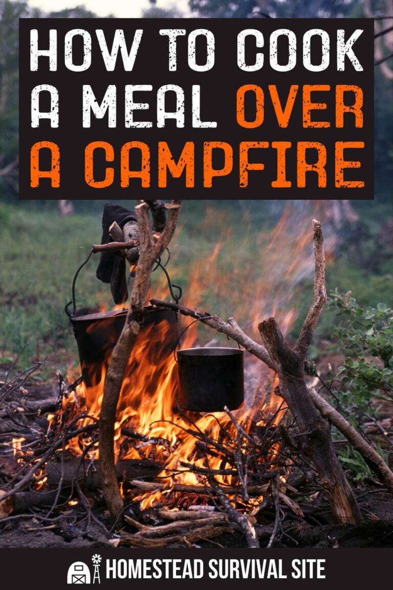 Cook Over How to Cook a Meal Over a Campfire