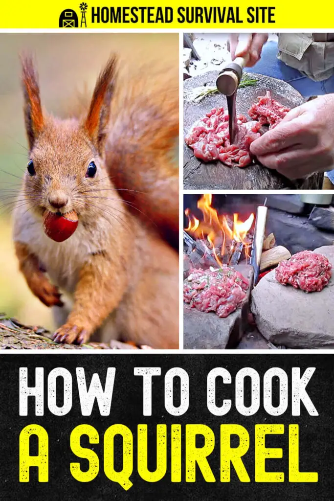 How To Cook A Squirrel