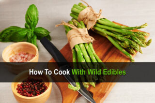 How to Cook with Wild Edibles