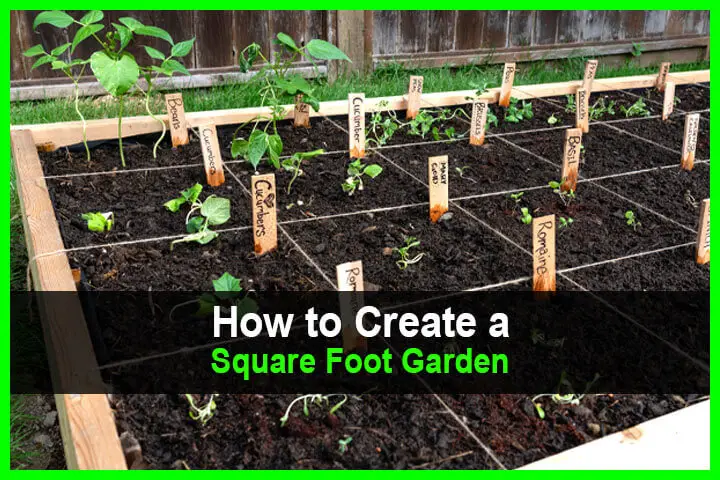 How to Create a Square Foot Garden