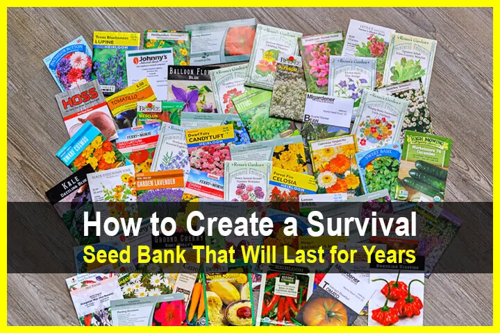 How to Create a Survival Seed Bank That Will Last for Years