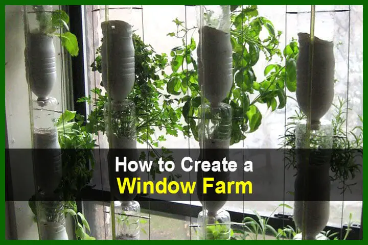 How to Create a Window Farm