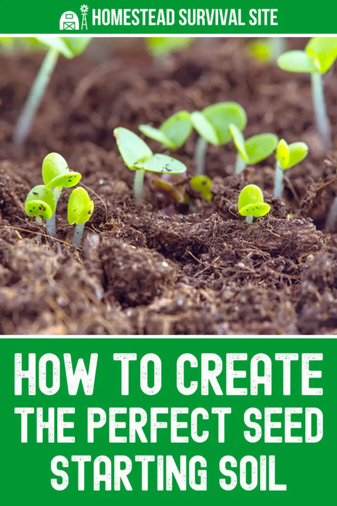 How to Create the Perfect Seed Starting Soil