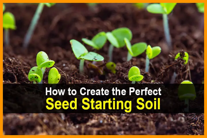 How to Create the Perfect Seed Starting Soil