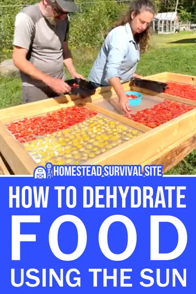 How to Dehydrate Food Using the Sun