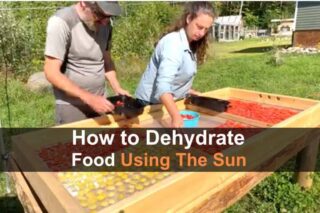 How to Dehydrate Food Using the Sun
