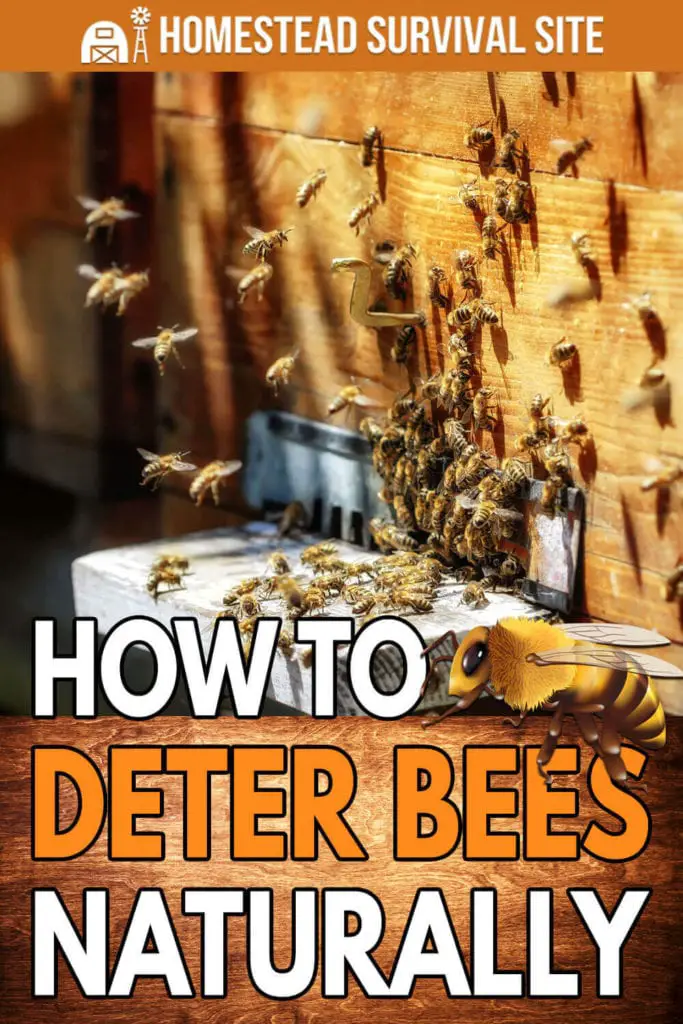 How to Deter Bees Naturally