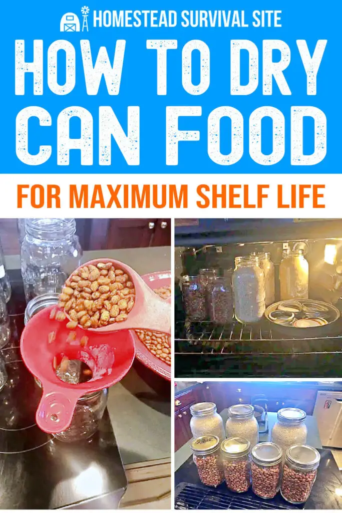 How to Dry Can Food for Maximum Shelf Life