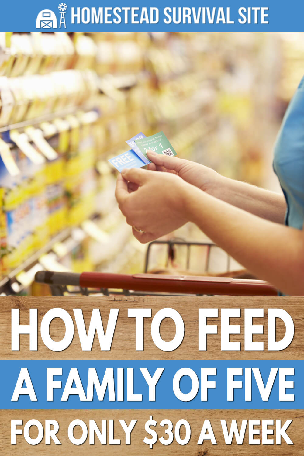 How to Feed a Family of Five for only $30 a Week