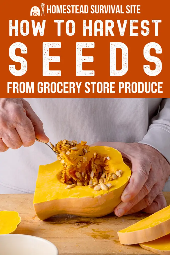 How to Harvest Seeds from Grocery Store Produce