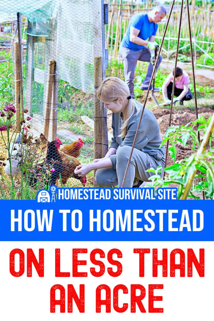 How To Homestead On Less Than An Acre