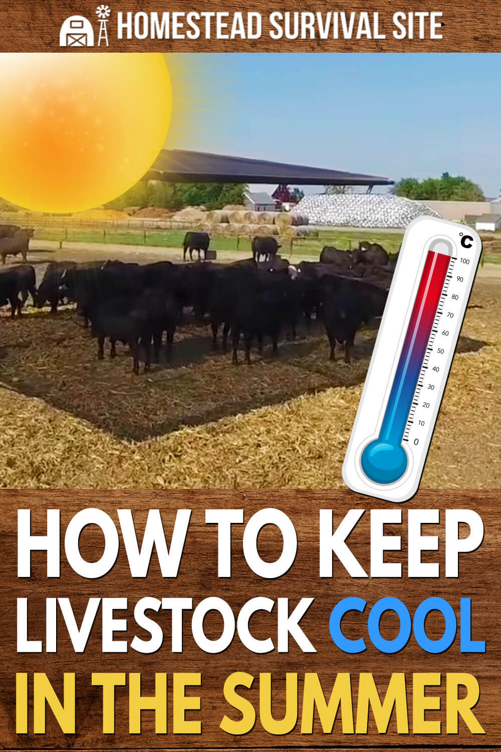 How to Keep Livestock Cool in the Summer
