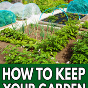 Pinterest Hidden Image