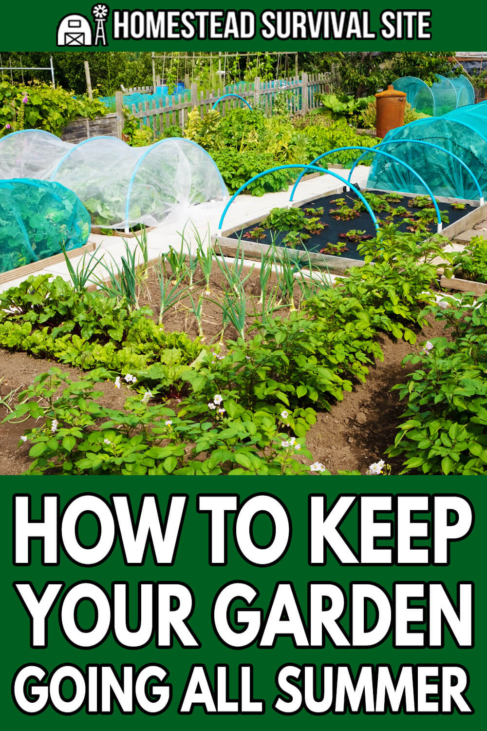 How To Keep Your Garden Going All Summer