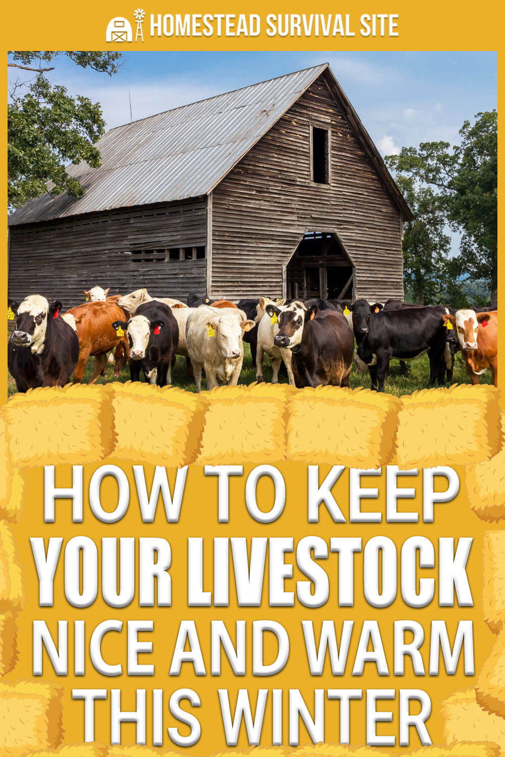 How to Keep Your Livestock Nice and Warm This Winter