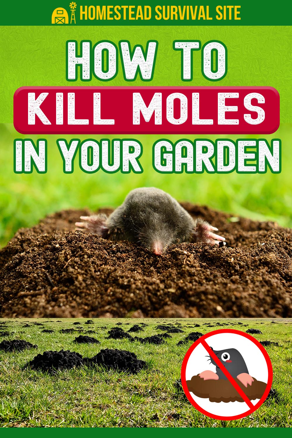 How To Kill Moles In Your Garden Or Yard   How To Kill Moles In Your Garden Pin 1 