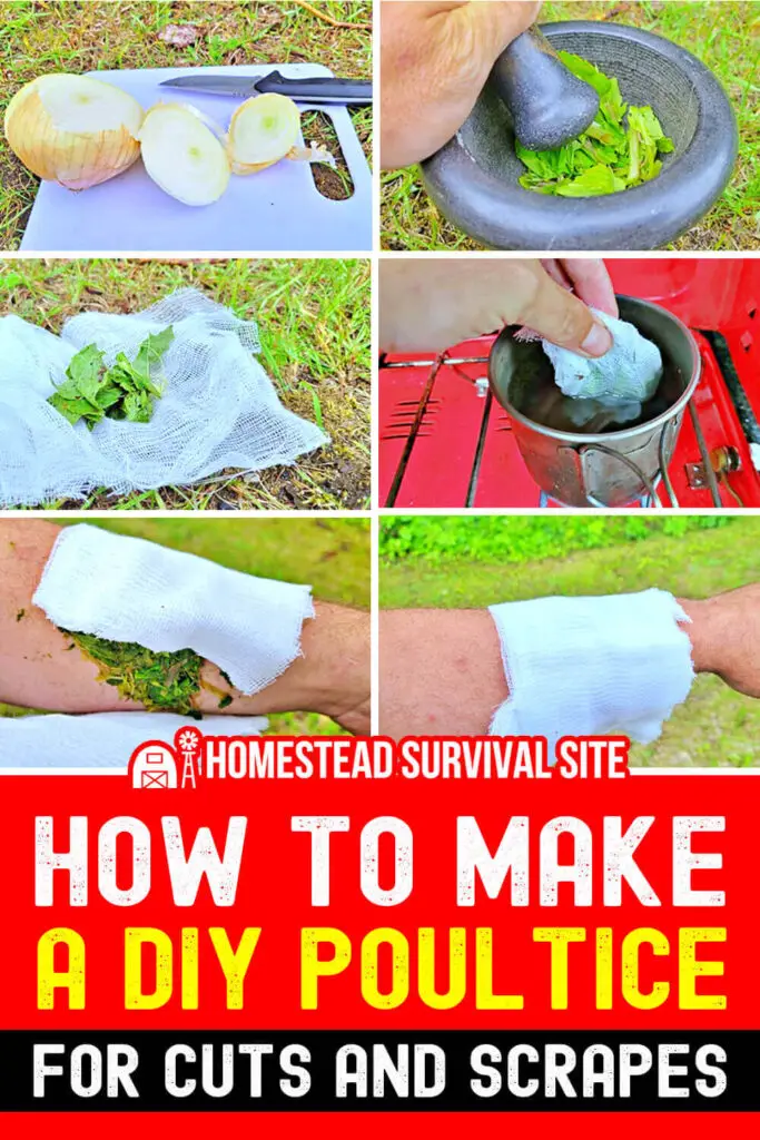 How to Make a DIY Poultice for Cuts and Scrapes