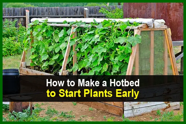 How to Make a Hotbed to Start Plants Early