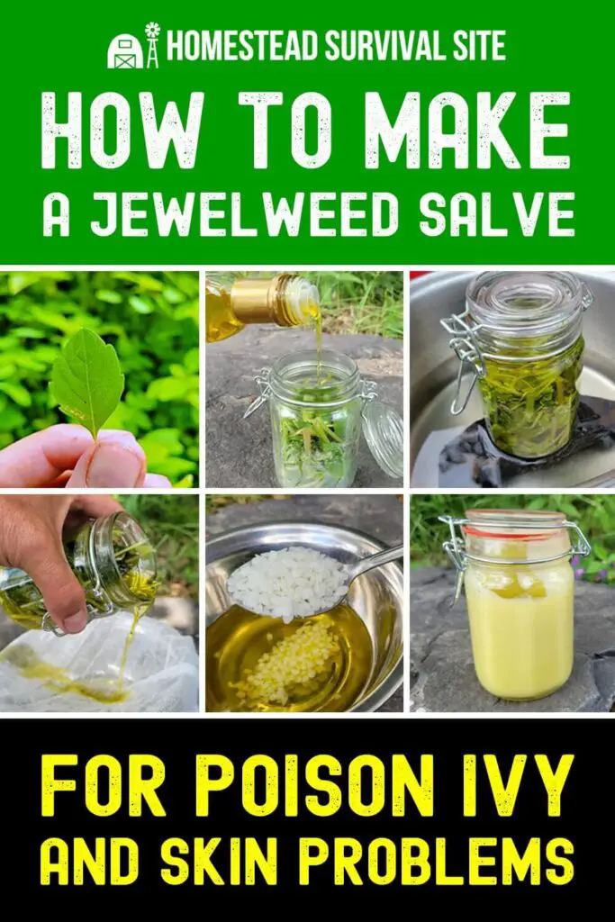 How to Make a Jewelweed Salve for Poison Ivy and Skin Problems