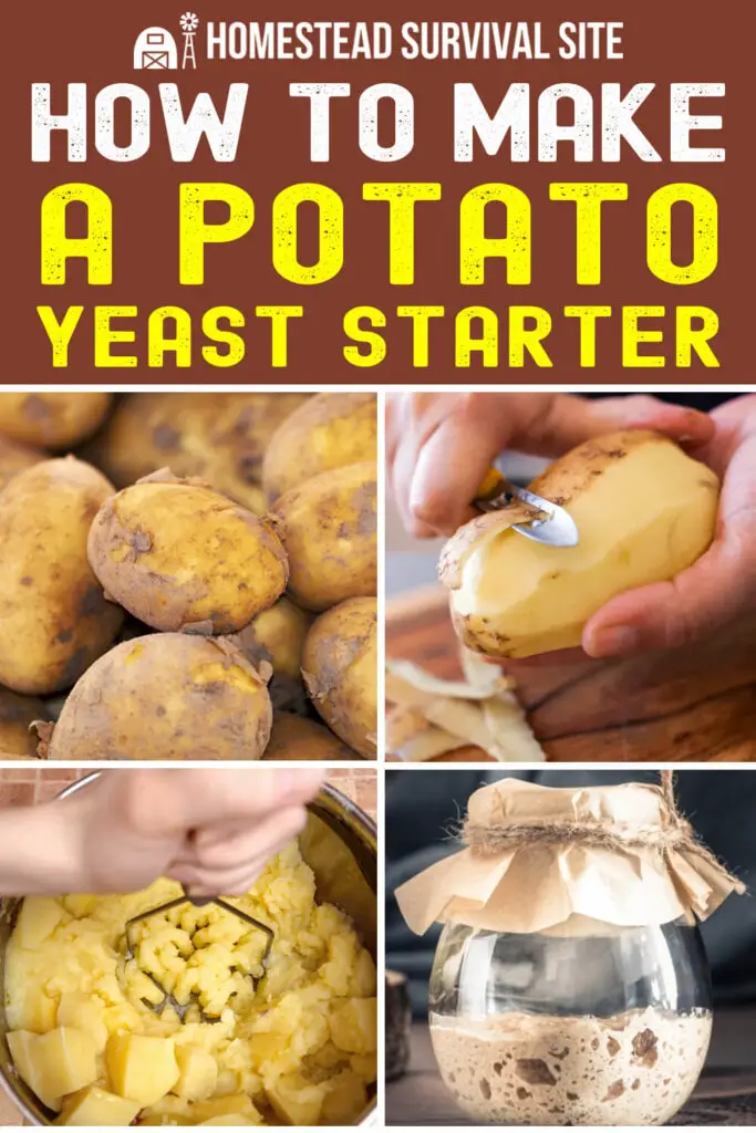 How to Make a Potato Yeast Starter