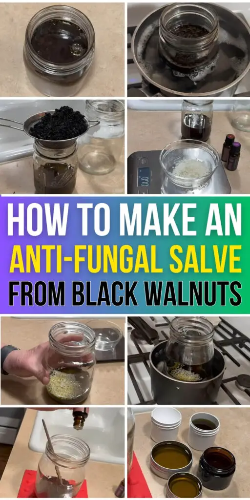 How to Make an Anti-Fungal Salve from Black Walnuts
