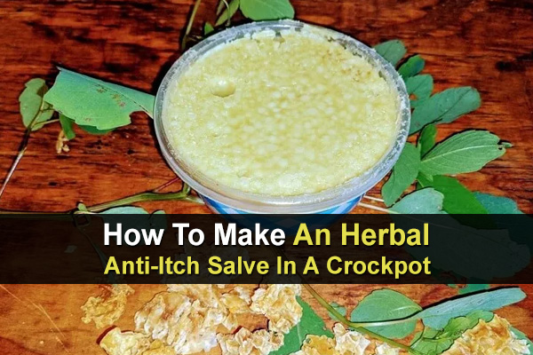 How To Make An Herbal Anti-Itch Salve In A Crock-Pot
