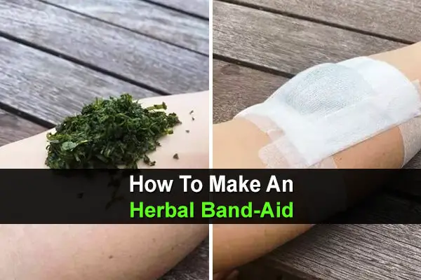 How To Make An Herbal Band-Aid
