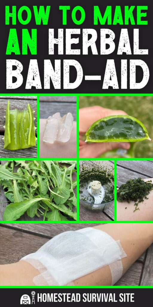 How to Make an Herbal Band-Aid