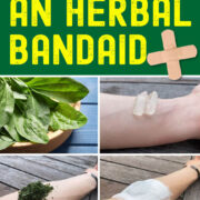 Pinterest Hidden Image