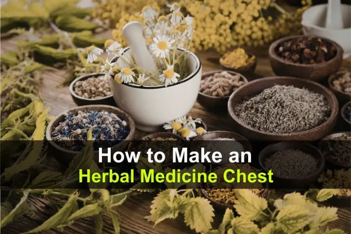 How to Make an Herbal Medicine Chest