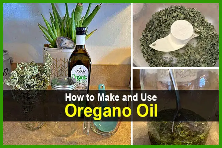 How to Make and Use Oregano Oil