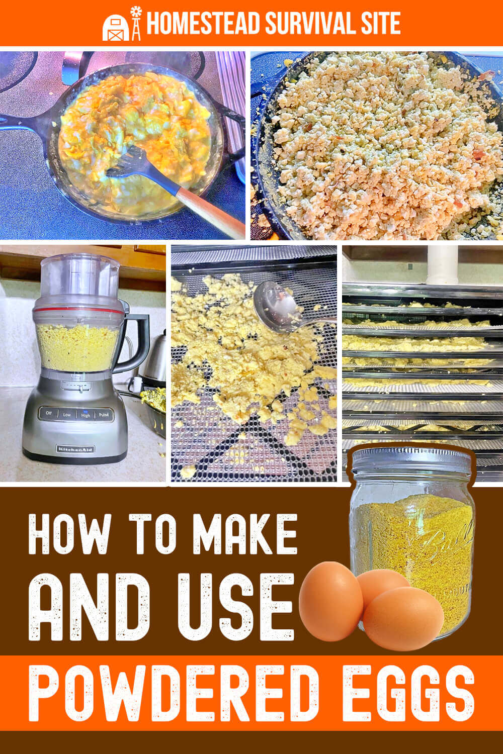 How to Make and Use Powdered Eggs