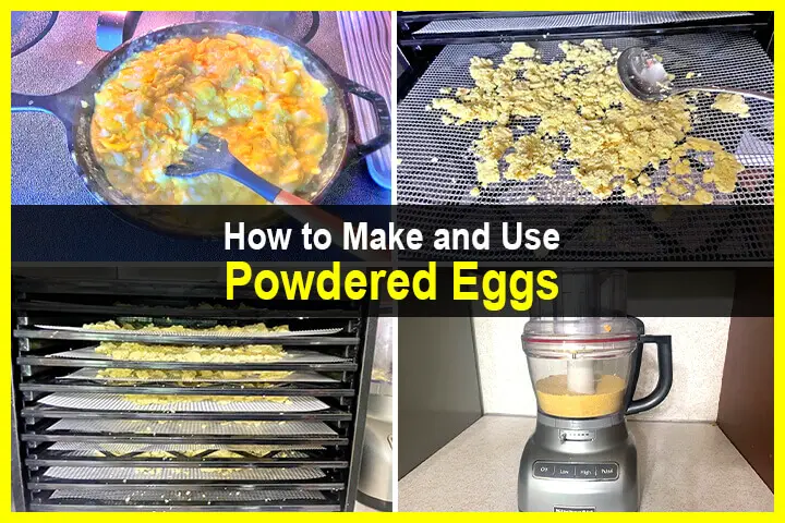 How to Make and Use Powdered Eggs