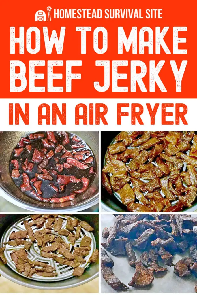 How to Make Beef Jerky in an Air Fryer
