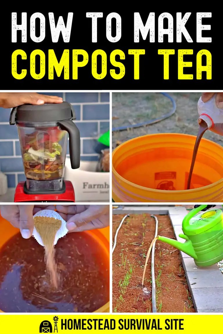 How to Make Compost Tea