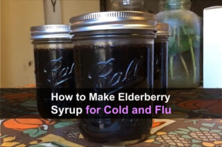 How to Make Elderberry Syrup for Cold and Flu
