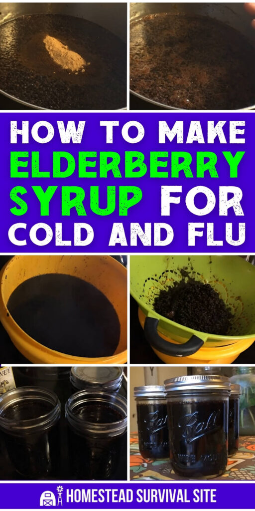 How to Make Elderberry Syrup for Cold and Flu