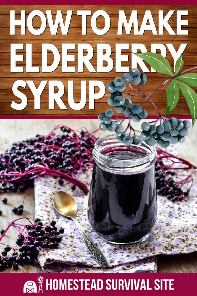 How to Make Elderberry Syrup