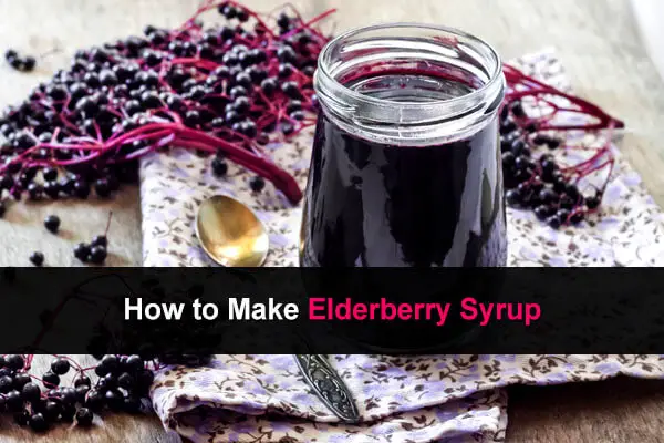 How to Make Elderberry Syrup