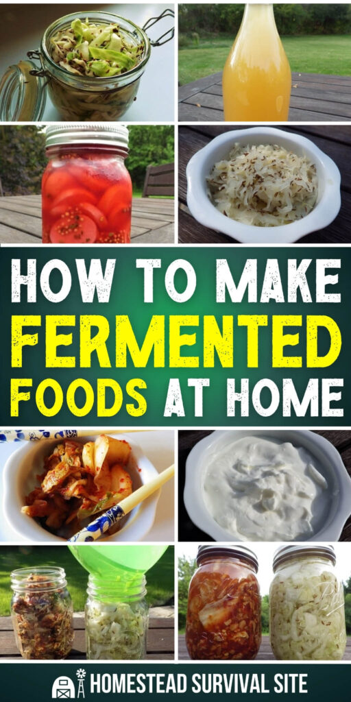 How to Make Fermented Foods At Home