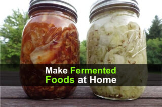How to Make Fermented Foods At Home