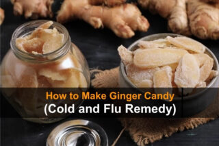 How to Make Ginger Candy (Cold and Flu Remedy)