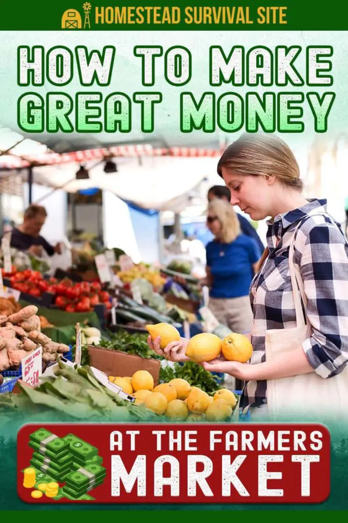 How To Make Great Money At The Farmers Market