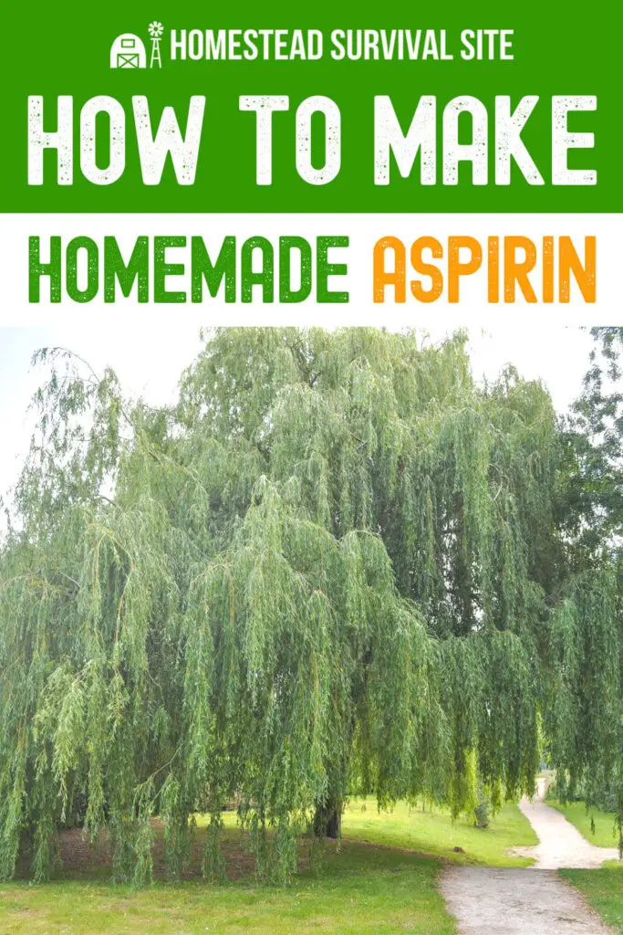 How to Make "Homemade Aspirin"