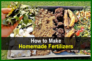 How to Make Homemade Fertilizers