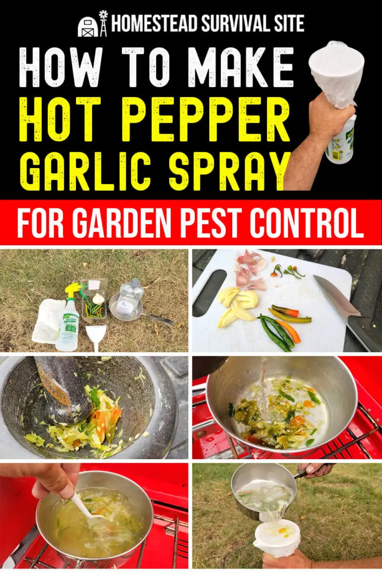 How to Make Hot Pepper Garlic Spray for Garden Pest Control