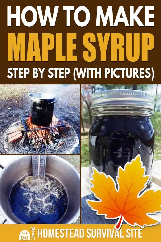 How To Make Maple Syrup Step by Step (With Pictures)