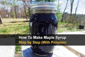 How To Make Maple Syrup Step by Step (With Pictures)