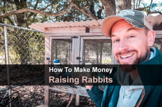 How To Make Money Raising Rabbits